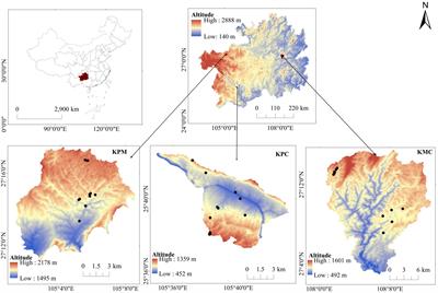 The impact of multiple driving factors on forest ecosystem services in karst desertification control